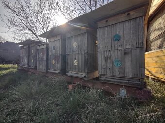 Včelstvá na predaj - 3