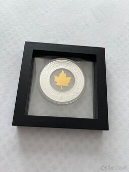 Gold maple leaf z roku 2019 - 3