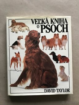 Disney, Bábkové divadlo, Zemepis sveta, Hevier, Tomáš a Alic - 3