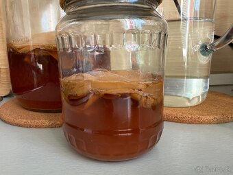 Kombucha - 3