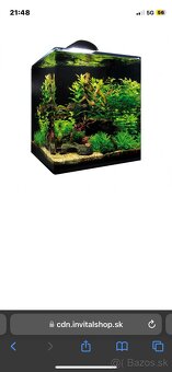 Akvarium - 3