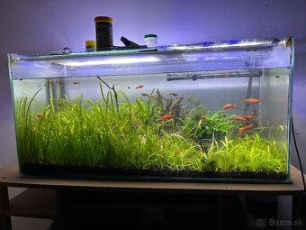 Predám akvárium 150L s komplet vybavením - 3