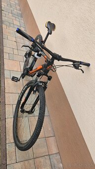 CTM Rein 29" - 3