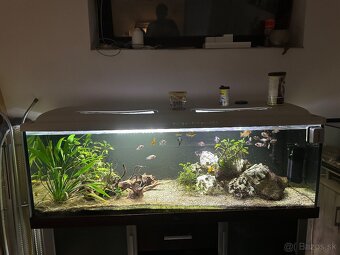 Akvarium 150x50x50 - 3