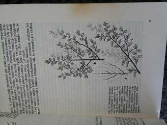 Poradca záhradkára - 3