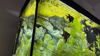 Akvárium Juwel Rio 125l - 3