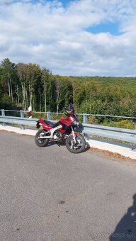 Yamaha TDR 125 2takt A1 - 3