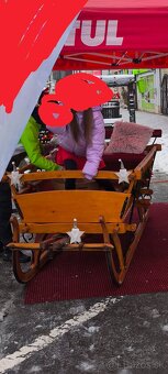 Velke drevene konske sane - 3