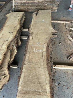 dubové fošne, dub letný, dub - 3