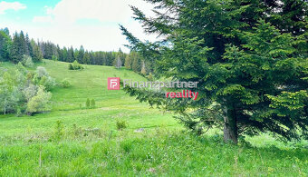 Pozemok v nádhernej prírode – Lom nad Rimavicou, Chlipniačky - 3