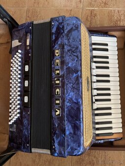 Harmonika/Akordeon - 3