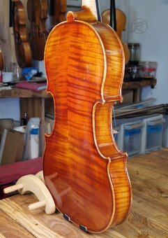 ✴️Viola 38,5 cm✴️ - 3