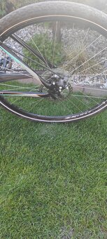 Damsky bicykel CTM MAXIMA 2.0 - 3