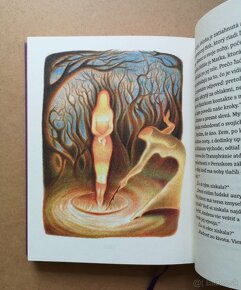 Paulo Coelho: ČARODEJNICA Z PORTOBELLA (ilustrované vydanie) - 3