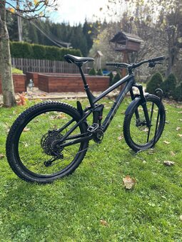 Trek Remedy 8 2020 - 3