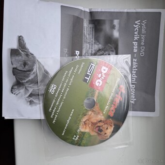 Elektronický neviditeľný plot D-fence - 3