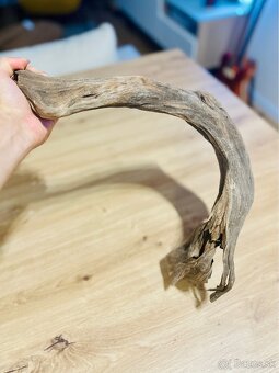 Koren do akvaria - 3