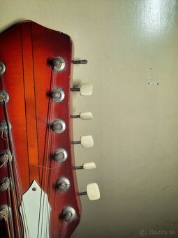 Cremona luby 12 strunová gitara. - 3