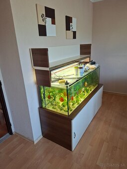 Akvarium - 3