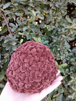 Háčkovaný ježko - 3