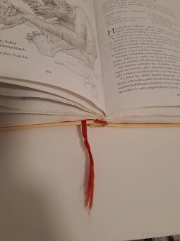 Terry Pratchett - KUCHAŘKA STAŘENKY OGGOVÉ (poškodená) - 3