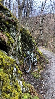 Specialized Stumpjumper Comp Carbon S5 (XL) - 3