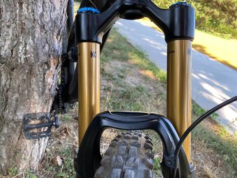 Canyon Torque CF 9.0 Carbon / L - 3