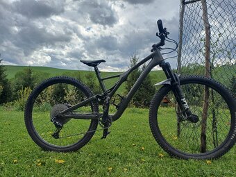 Specialized Stumpjumper - 3