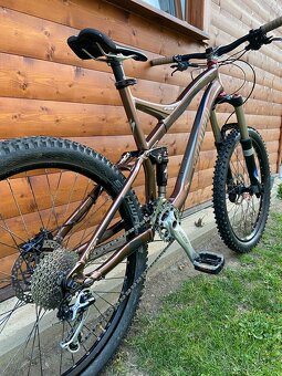 Specialized Enduro - 3