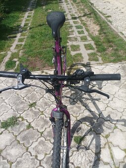 Dámsky bicykel - 3