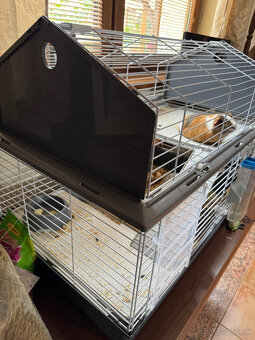 Klietka pre hlodavce veľká + prepravka zdarma - 3