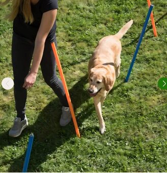 Agility prekážky - 3