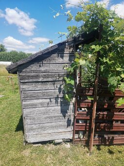 Zajačnik, - 3