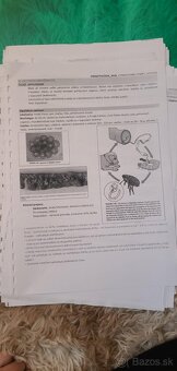 UVLF KE : Materiály pre VVL/HP - 4.ročník - 3