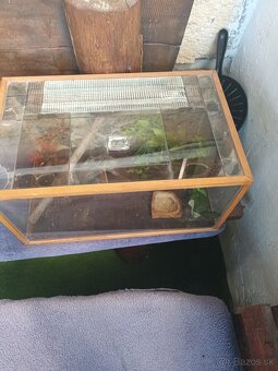 Terarium s 3D stenou - 3