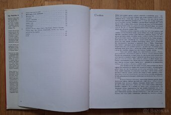 Hodiny (od gnomonu k atomovym hodinam)
- 3