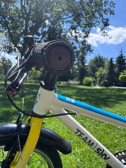 Frog TEAM sky 48 - 3