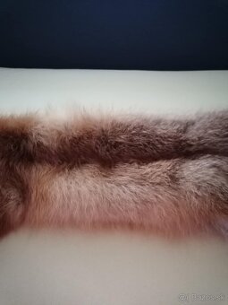 Liška práva kožušina - 3