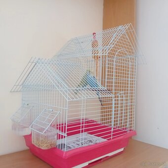 Andulky - 3