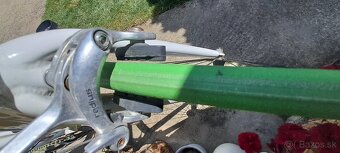 Totem 28 Zoll - 3
