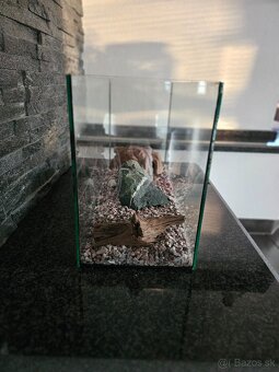 Akvárium 50x20cm - 3