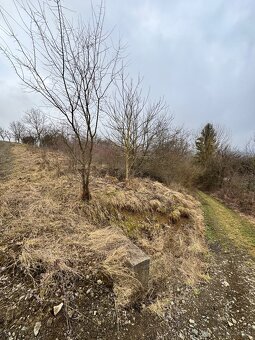 Pozemok (záhrada) na predaj - 3