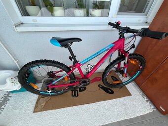 CUBE access race 240 disc - 3