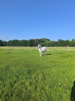 Ponúkame Ustajnenie - 3