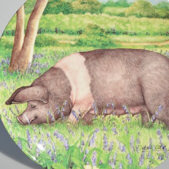 Porcelánové taniere z Anglicka - Šťastné prasiatka na lúke - 3