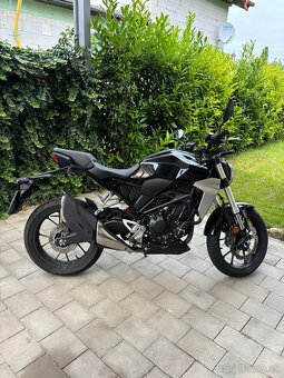 HONDA CBF 300 NA - 3