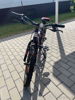 Kellys lumi 30 - 3