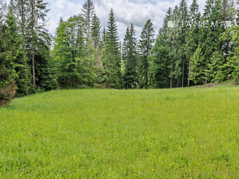 Investičný pozemok - Oravská Lesná 1.625 m² - 3