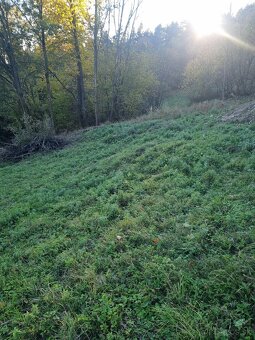 Predám rekreačné pozemky (osada Majtánky) - 3