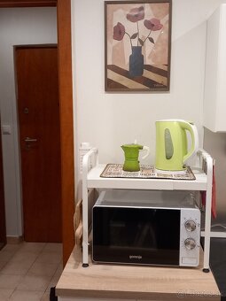 Prenájom 1 izbového bytu - 3